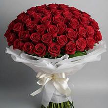 Букет 101 Красная роза Блэк Мэджик в Майдарово