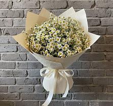 Букет цветов из:  Ромашки в Майдарово