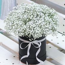 Цветочная композиция из Гипсофила в шляпной коробке #REPLACE_PRED# Майдарово
