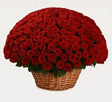 Премиум букет из: Розы в Майдарово