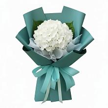 Букет цветов из:  Гортензия #REPLACE_PRED# Майдарово